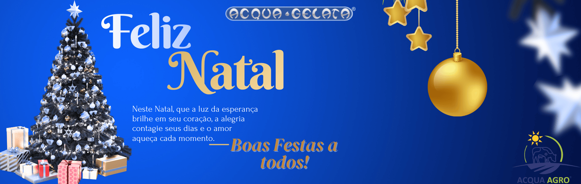 Banner Departamento Topo